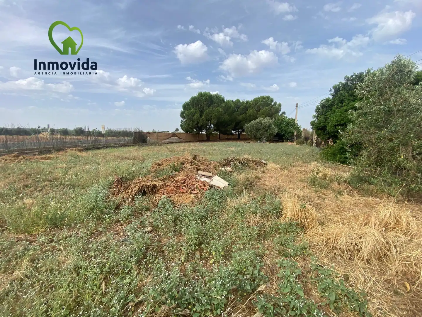 Houses for sale in La Carlota