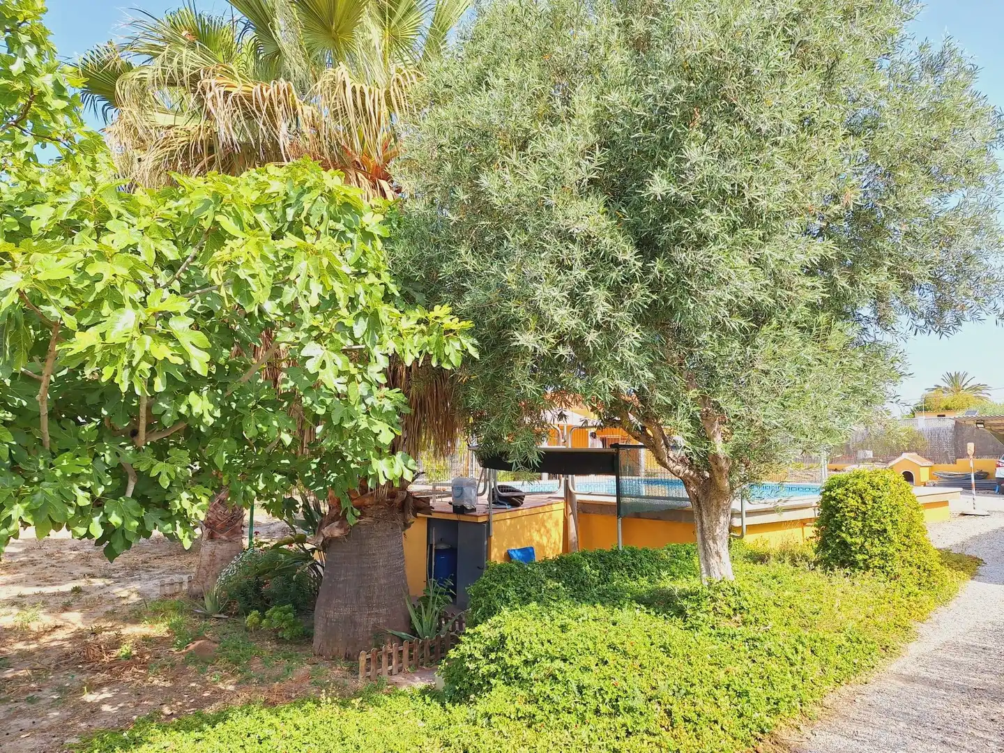 Jardí de Casa o xalet en venda en Alicante / Alacant amb Jardí privat, Terrassa i Traster