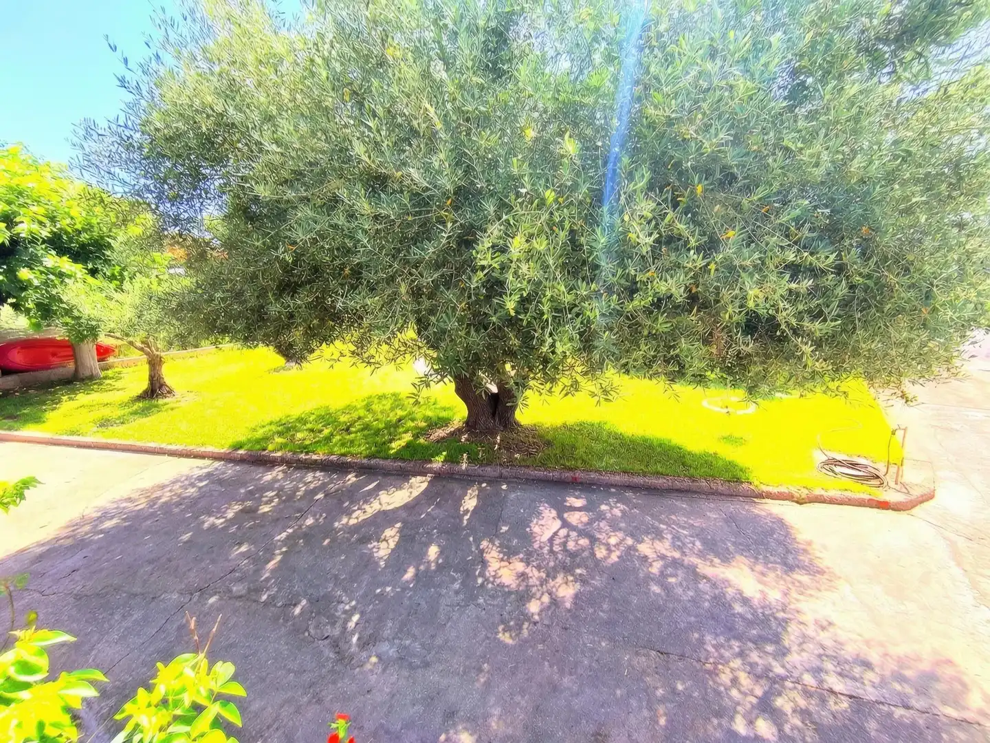 Maison avec terrasse à vendre à Carrer PLA TORRE URB, imagen 10