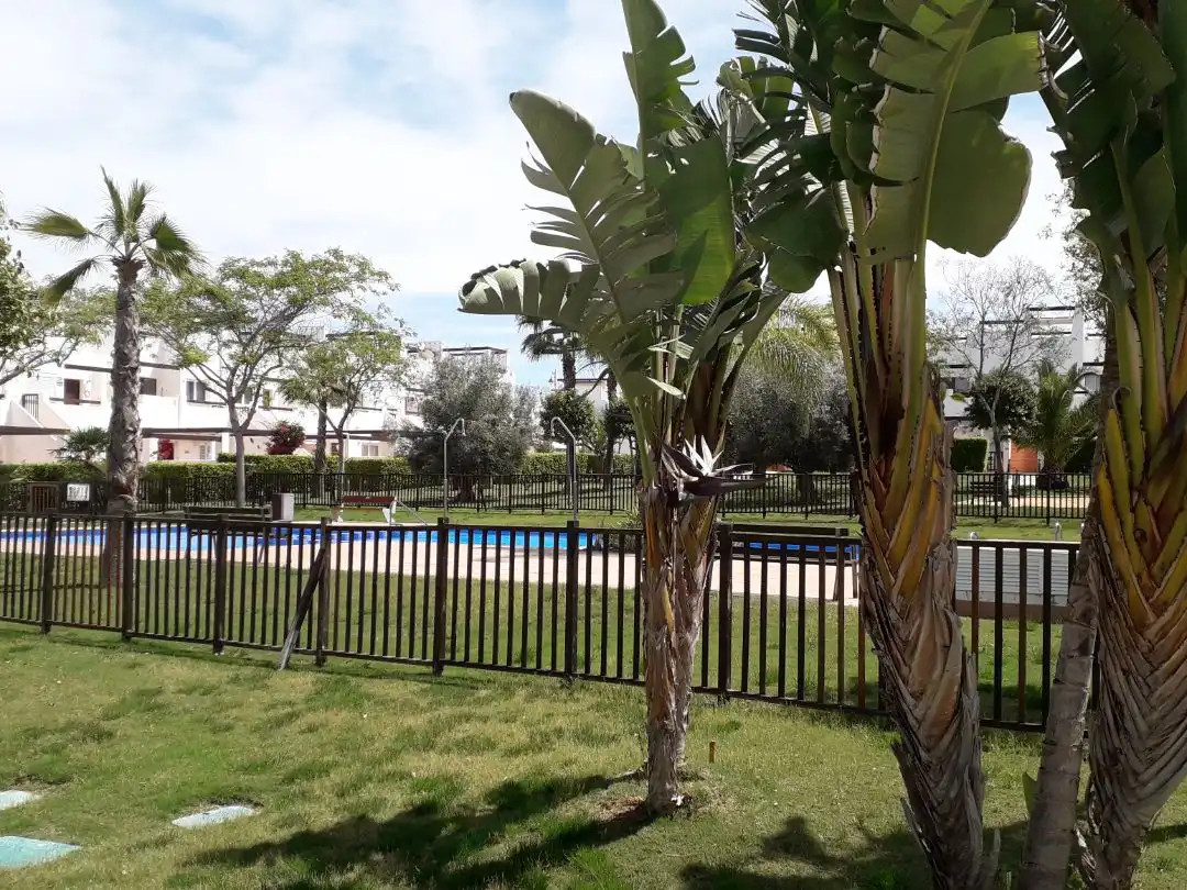 Pis amb piscina en venda a Av. de la Alcanara, 1, 2, imagen 2