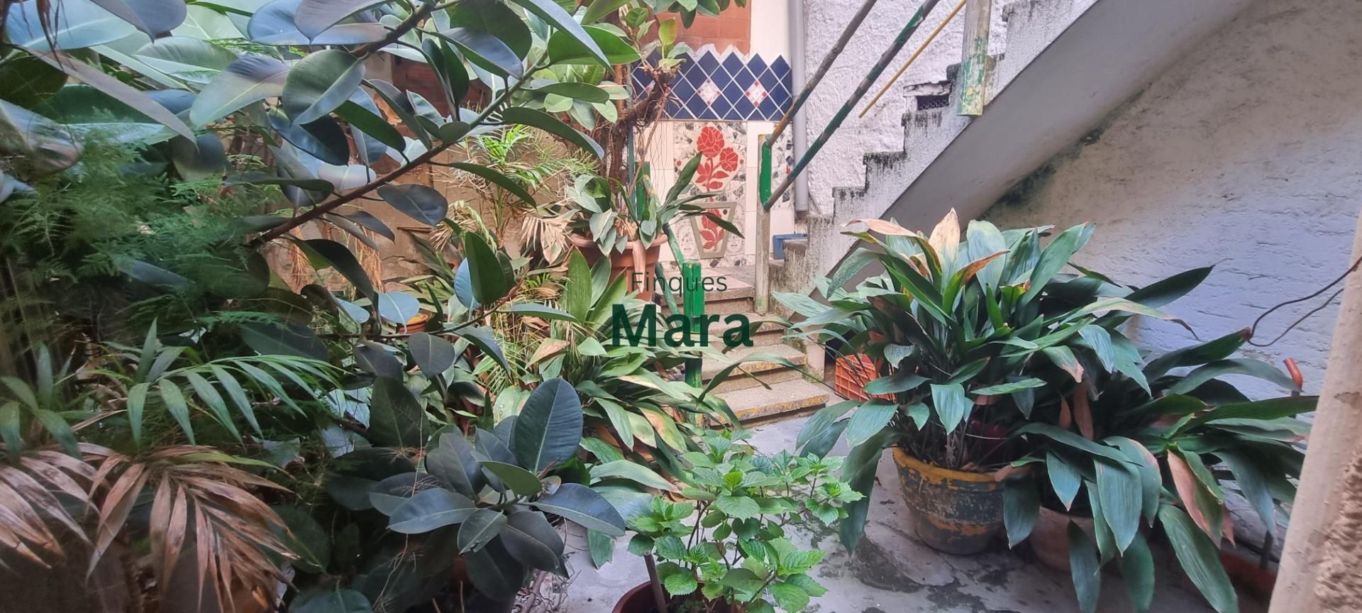 Jardí de Casa o xalet en venda en Sant Boi de Llobregat