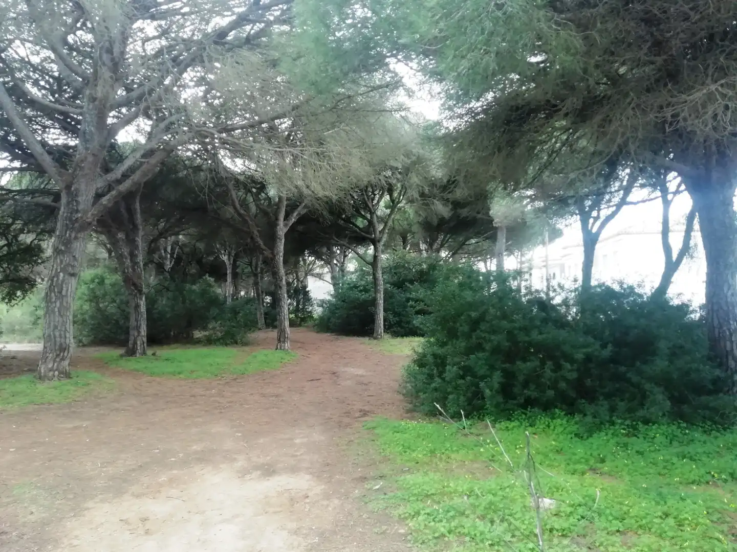 Houses for sale in Chiclana de la Frontera  with Private garden, Terrace and Furnished