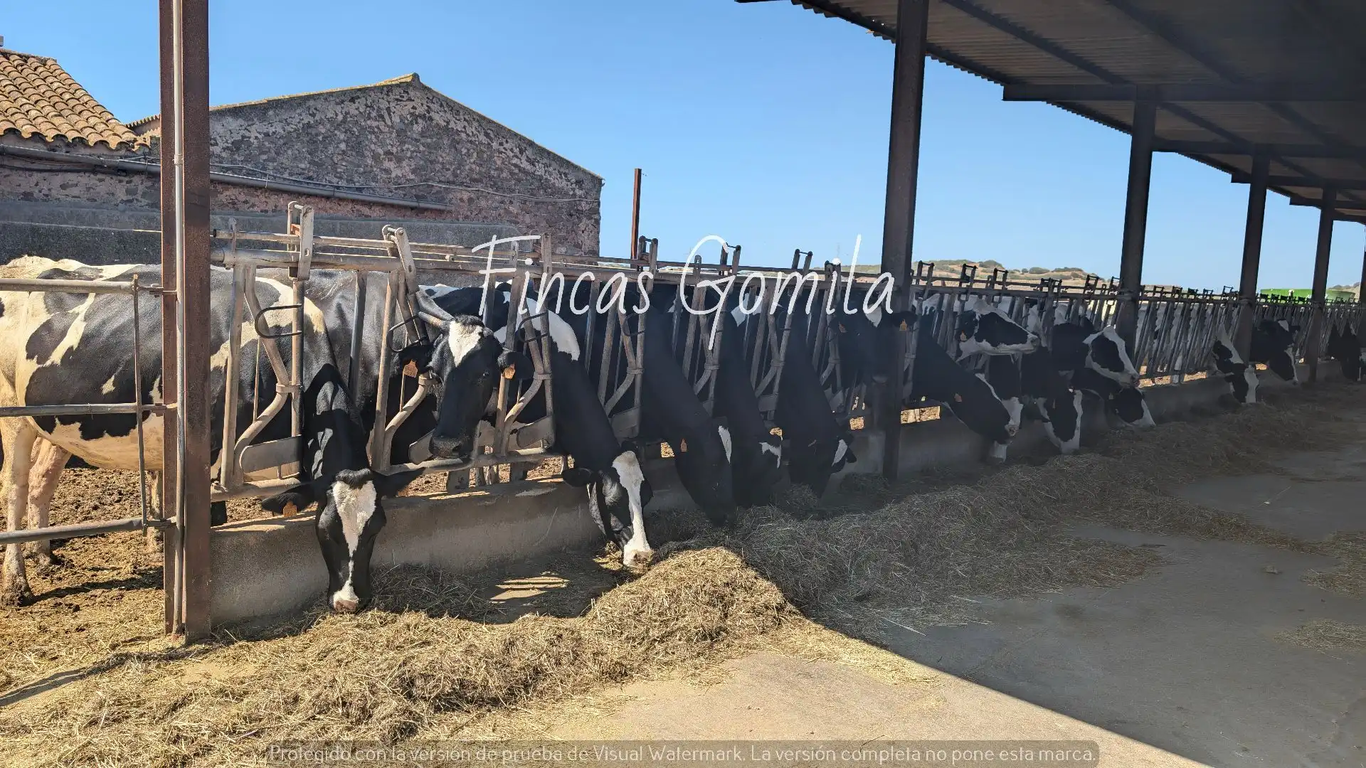 Rustikales Grundstück zum Verkauf in campo, imagen 26