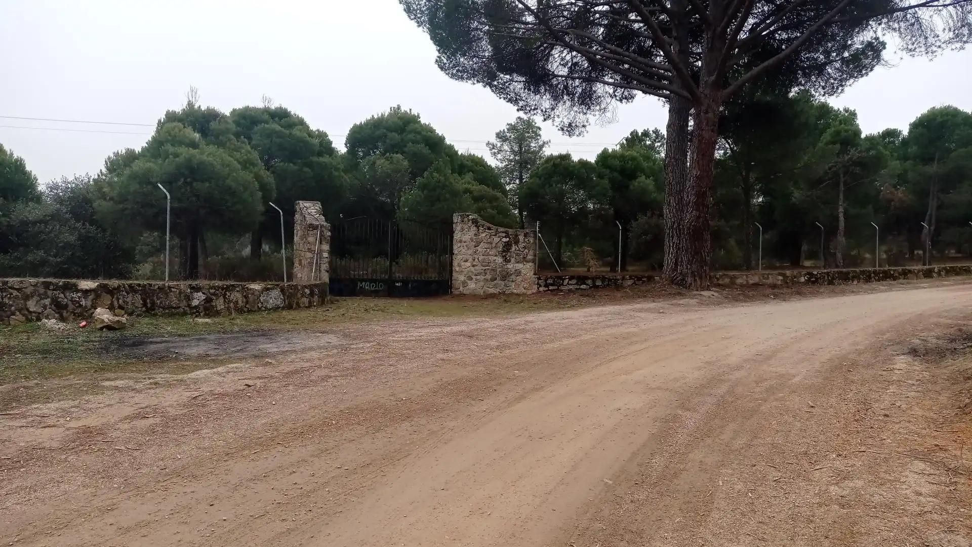 Terreny rústic en venda a San Martín de Valdeiglesias, imagen 4