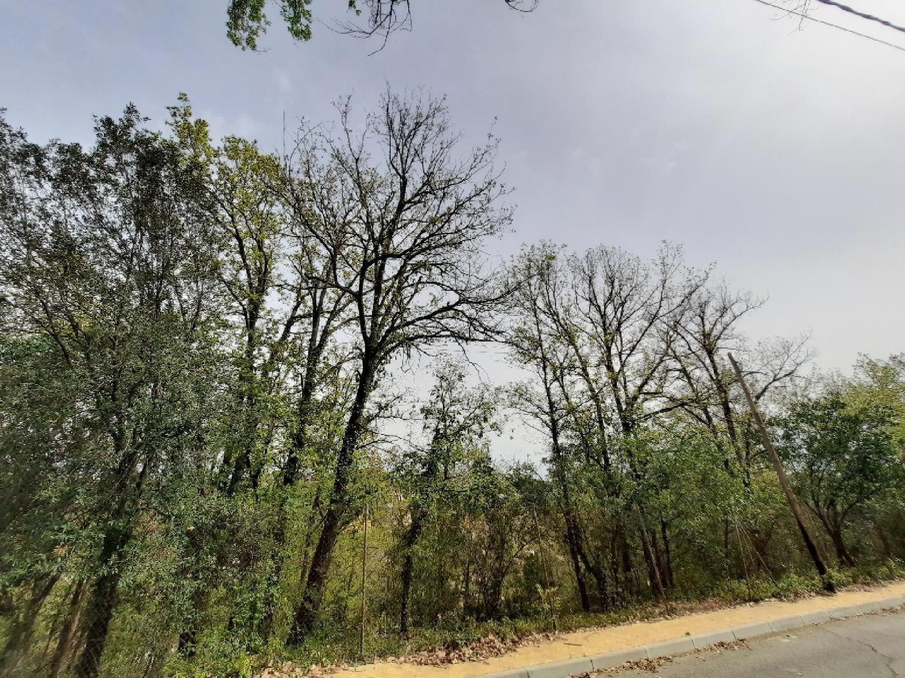 Casa o xalet en venda en Riells i Viabrea