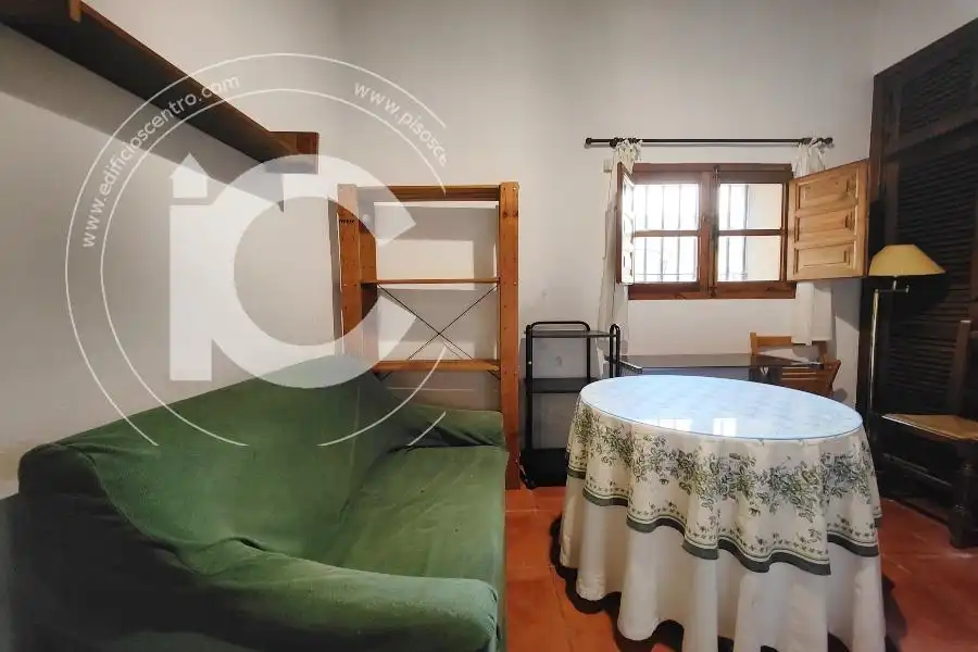 Sala de estar de Estudio de alquiler en Granada con Aire acondicionado