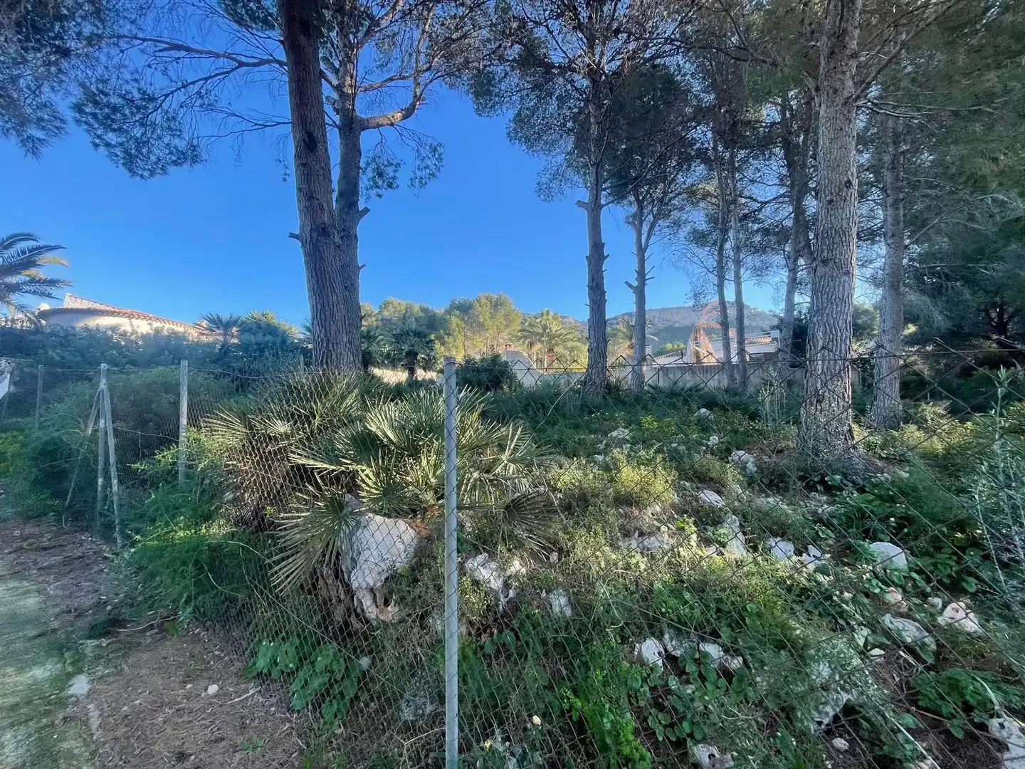 Terrenys i solars en venda a La Pedrera - Vessanes, imagen 8