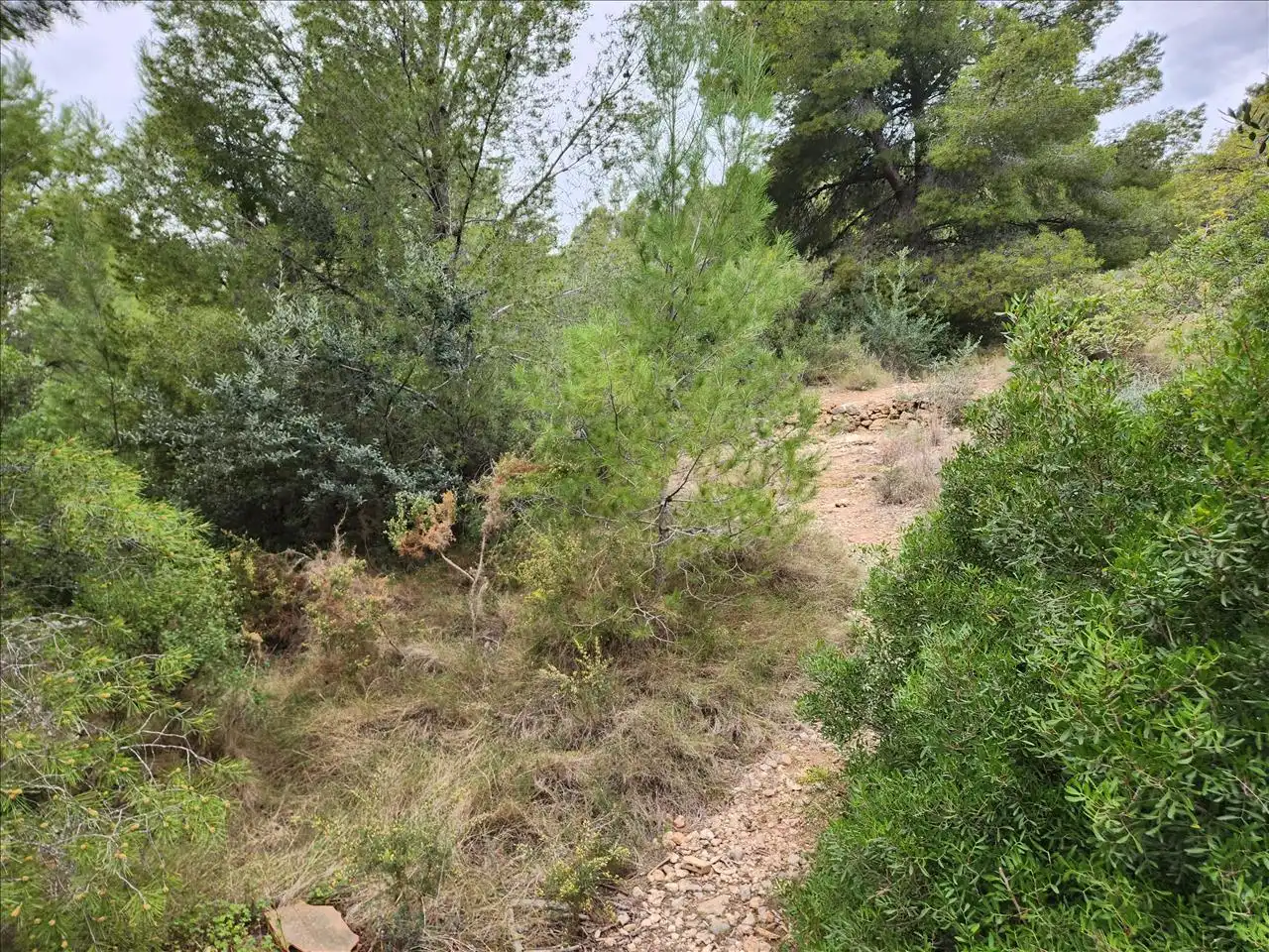 Residential land for sale in Pl Número 115, imagen 5