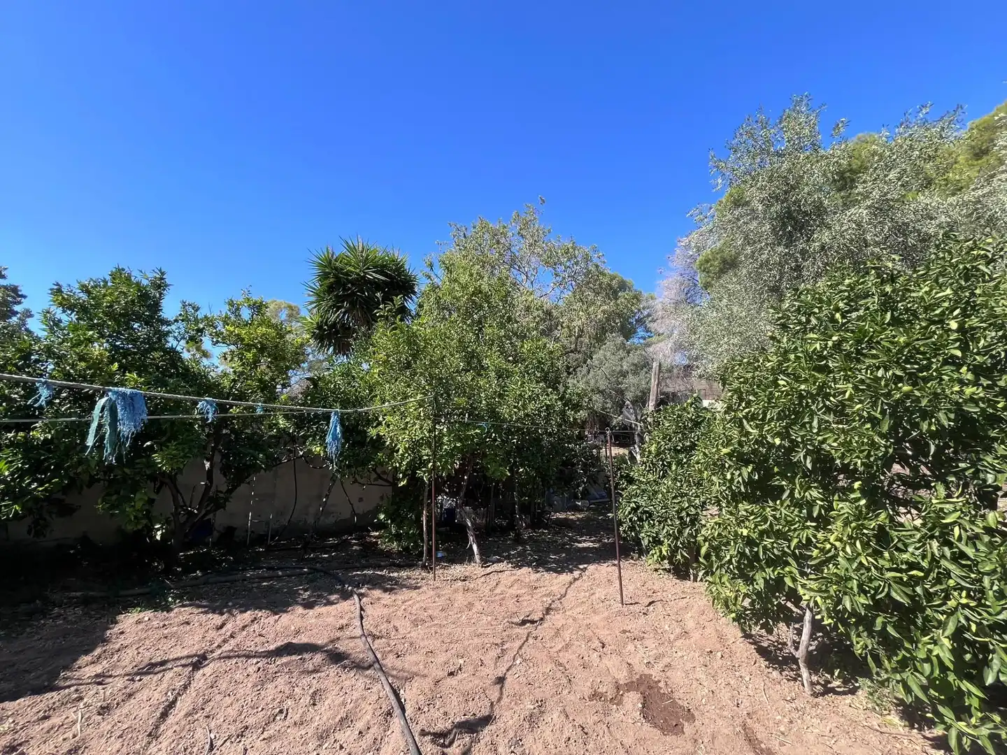 Terrain rustique à vendre à Puig Moltó - Can Macià, imagen 5