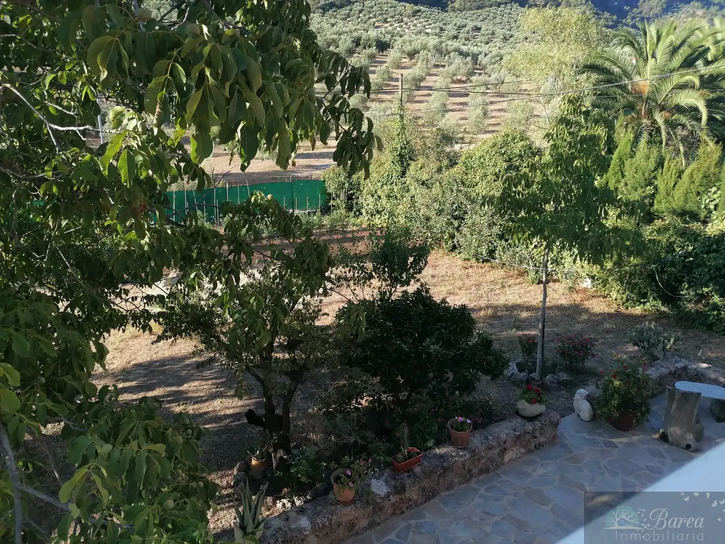 Garden of Houses for sale in Rute  with Air Conditioner and Terrace