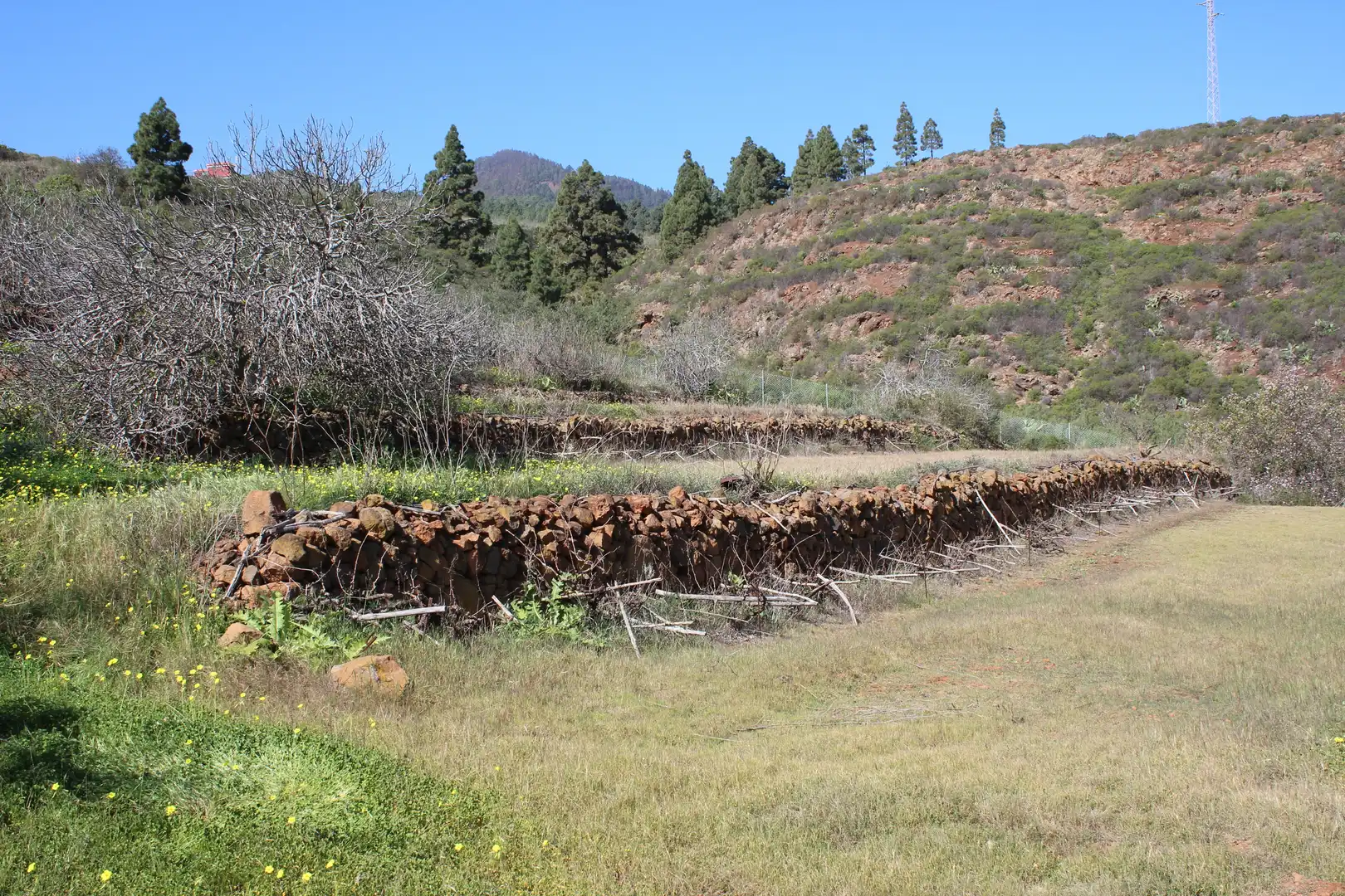 Rustikales Grundstück zum Verkauf in Machado - Las Barreras, imagen 9
