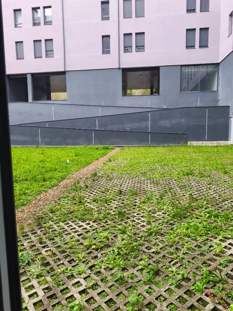 Geschaftsraum zur Miete in Oviedo  mit Terrasse