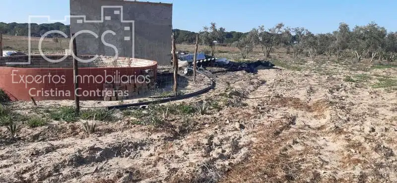 Terreni e lotti in vendita a Almonte ciudad, imagen 8