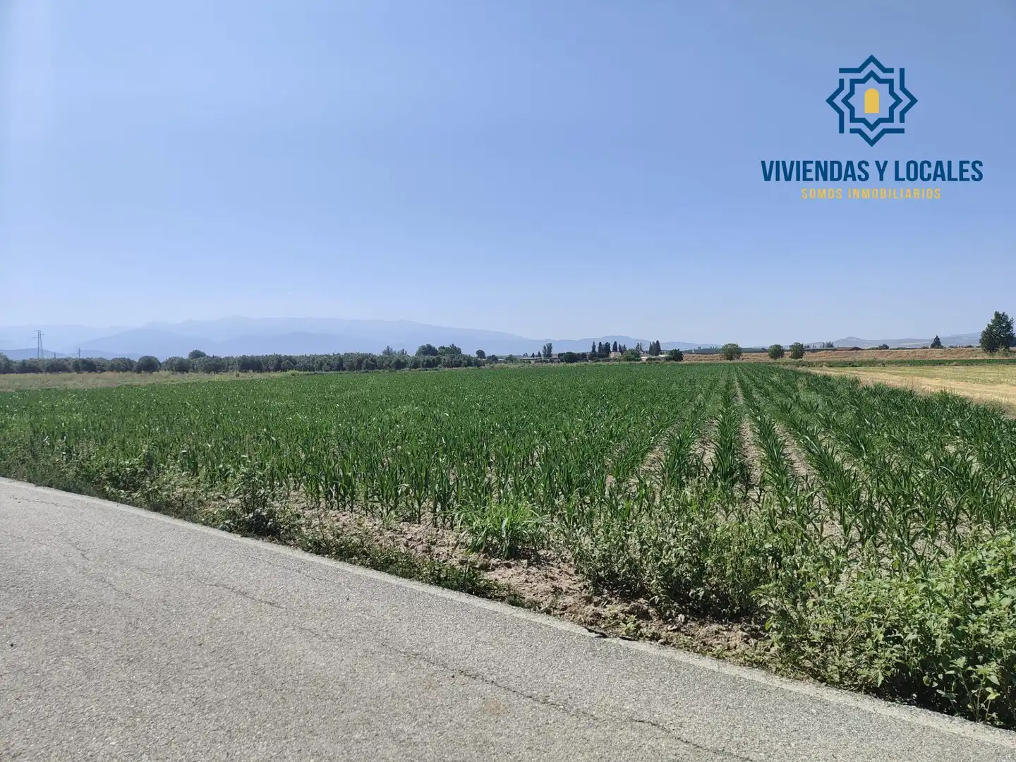 Terreni e lotti in vendita a Carretera Carretera de Pinos Puente, imagen 5