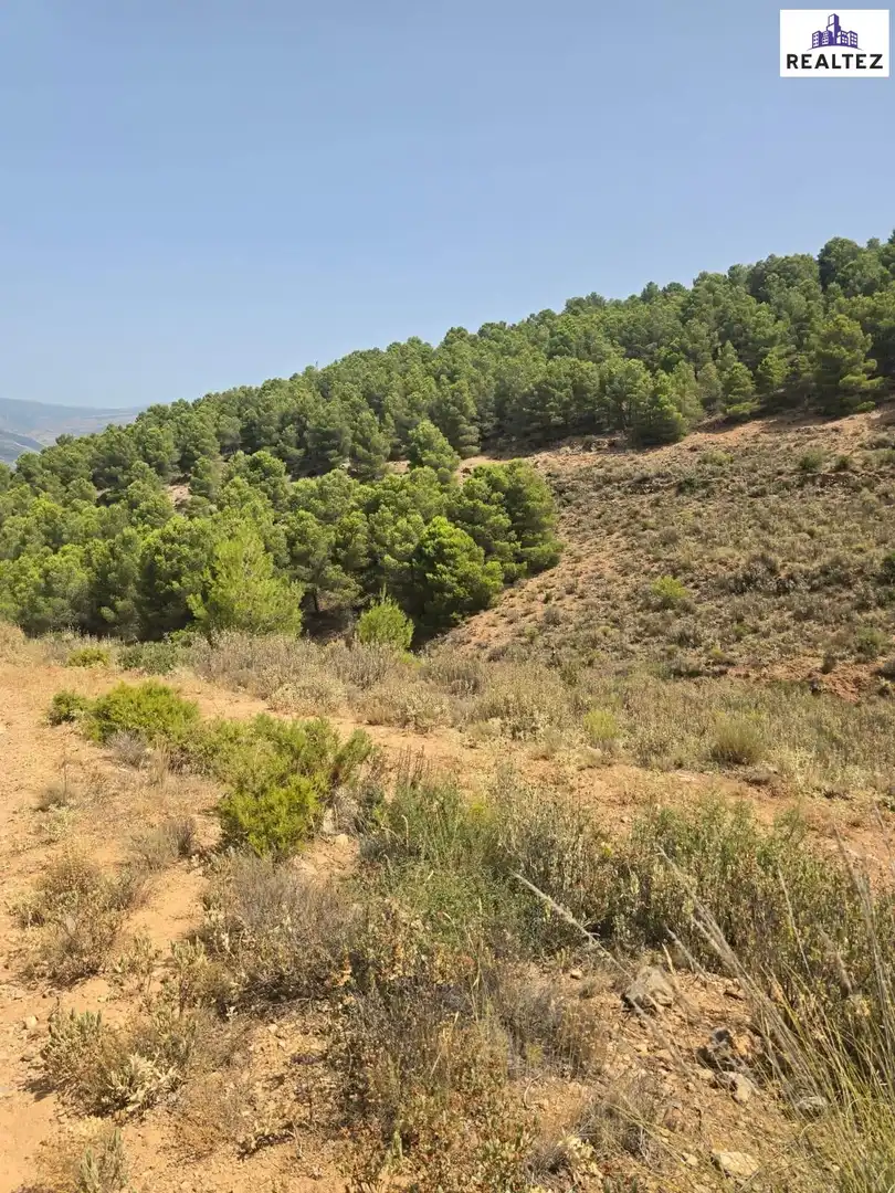 Terrain rustique à vendre à Alcolea, imagen 5