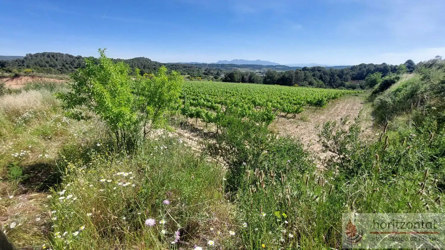 Terrenys i solars en venda a Sant Quintí de Mediona, imagen 3