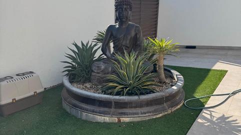 Photo 4 of House or chalet for sale in Calle Santa Pola, Formentera del Segura, Alicante