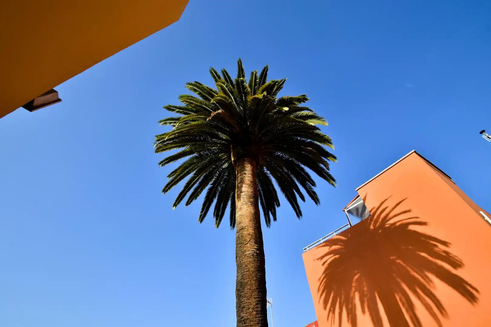 Vista exterior de Casa o chalet en venta en Tacoronte con Jardín privado y Terraza