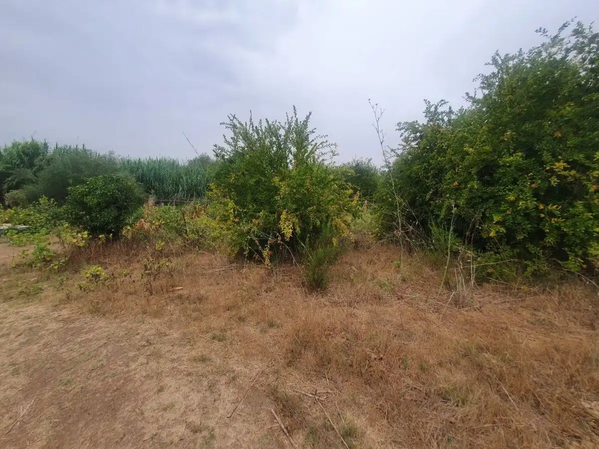 Finca rústica en venta en Málaga