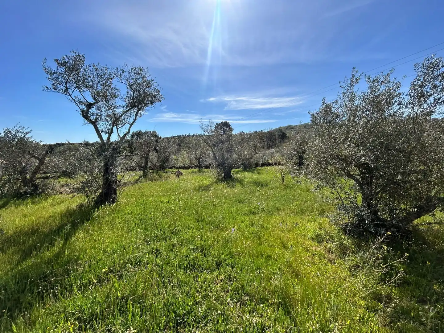 Terreni e lotti in vendita a Hoyos, imagen 8