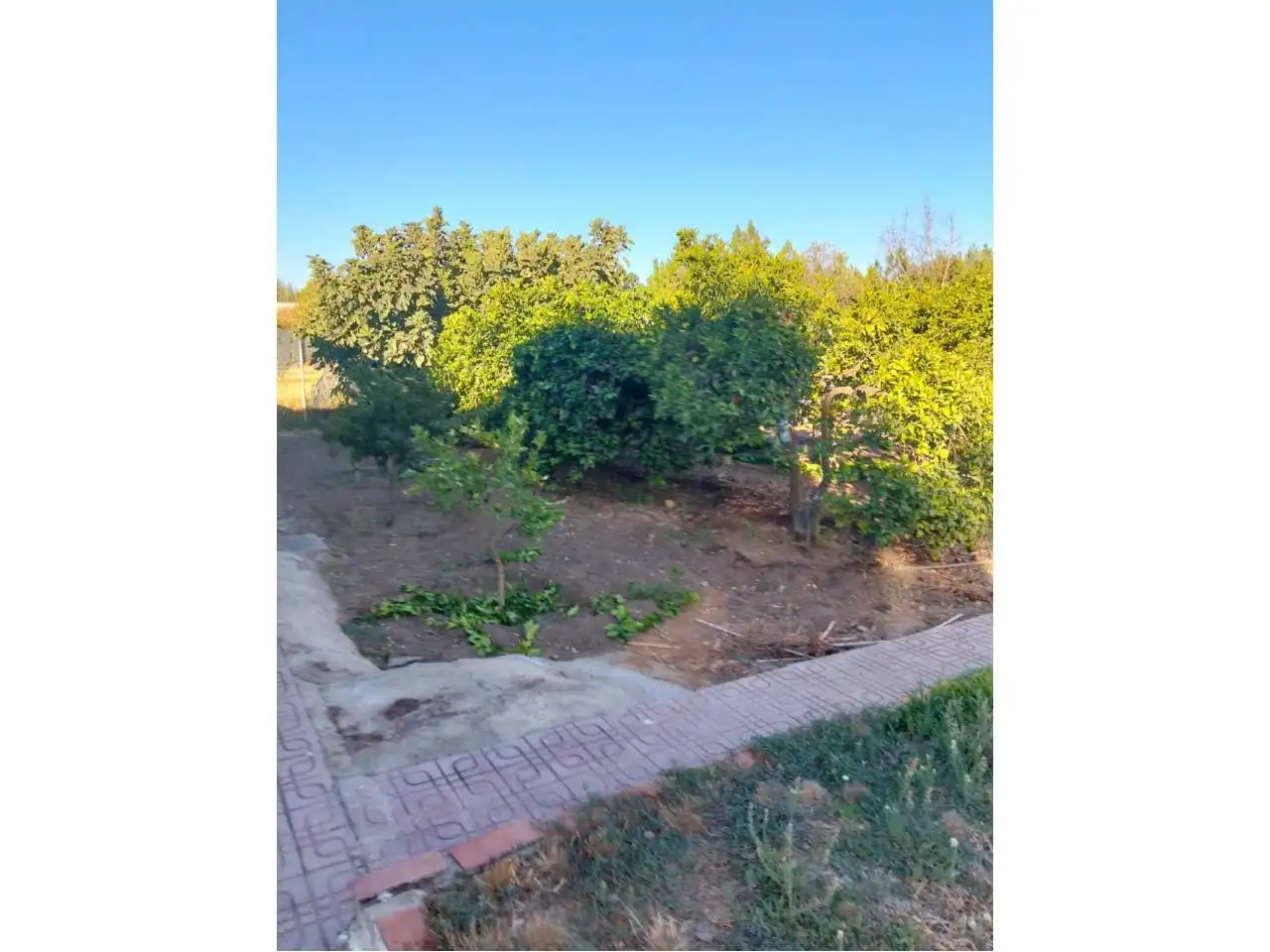 Villa avec piscine à vendre à Urbanizacion Pradollano, imagen 18