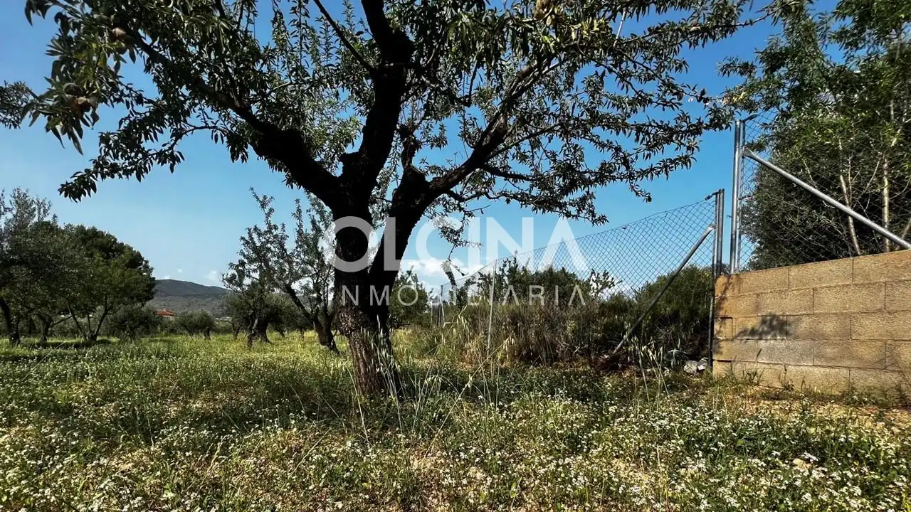 Terreno rústico en venta en Ibi, imagen 4