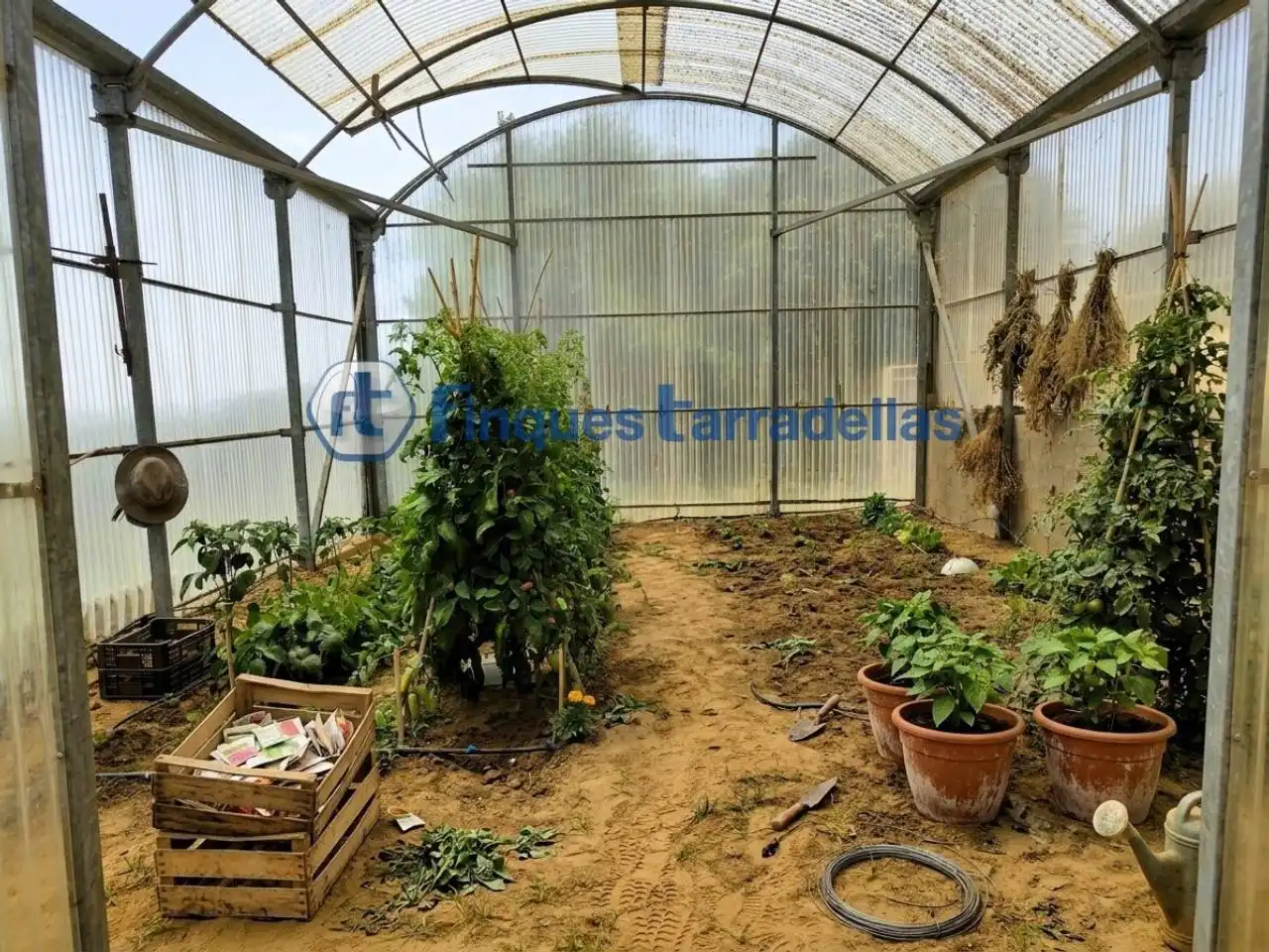 Rural land for sale in Mas Mora - Sant Daniel, imagen 45