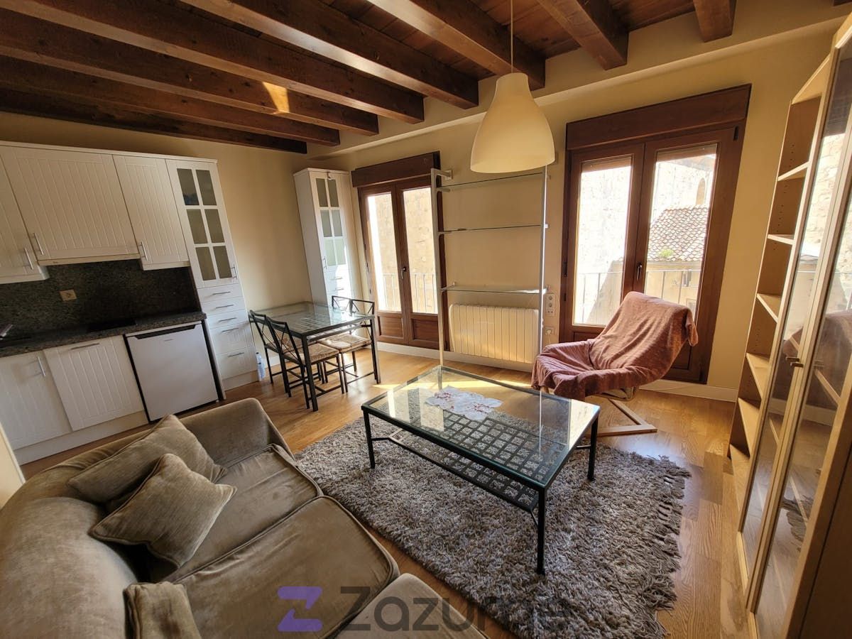 Sala d'estar de Apartament de lloguer en Segovia Capital amb Calefacció, Parquet i Moblat