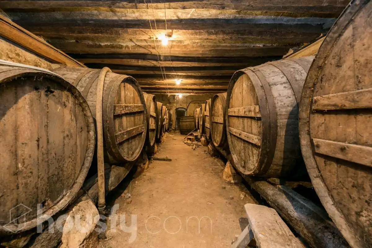 Finca rústica en venda a BO SERRA DE DALT,, Sant Martí Sarroca