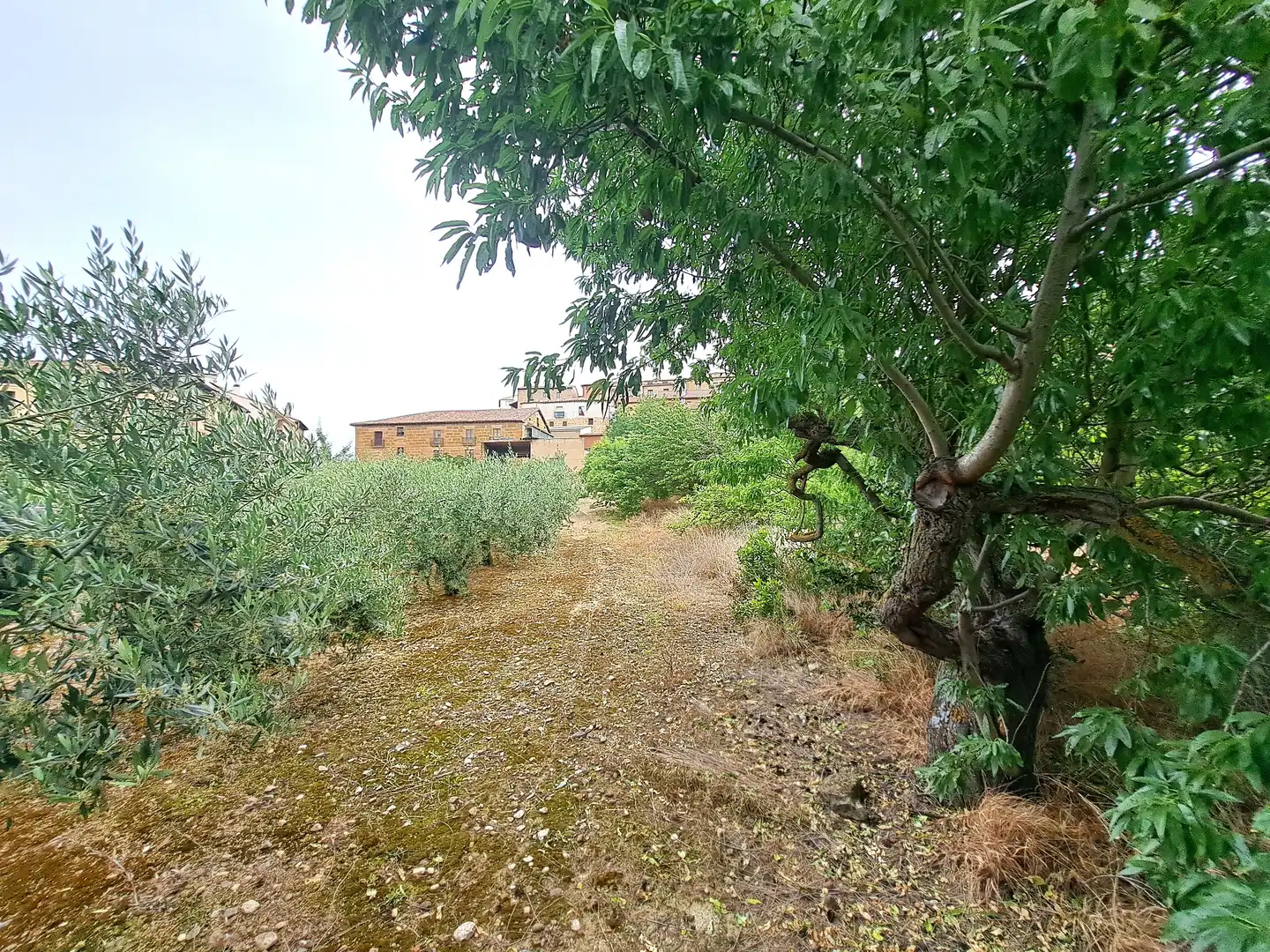 Finca rústica en venta en Briones con Jardín privado