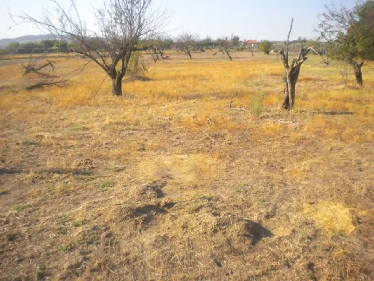 Terreny residencial en venda a Camino ESPARRAGOSA, imagen 3