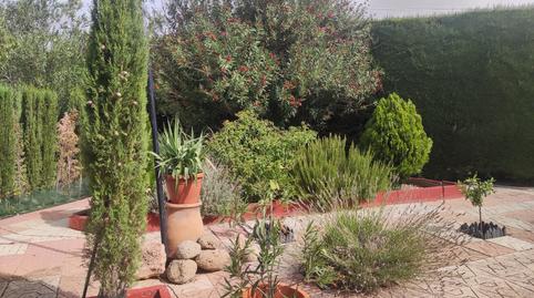 Photo 5 of Houses for sale in Pozuelo de Calatrava, Ciudad Real