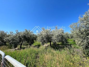 Terreno rustico in vendita a Las Vegas - Campoaras