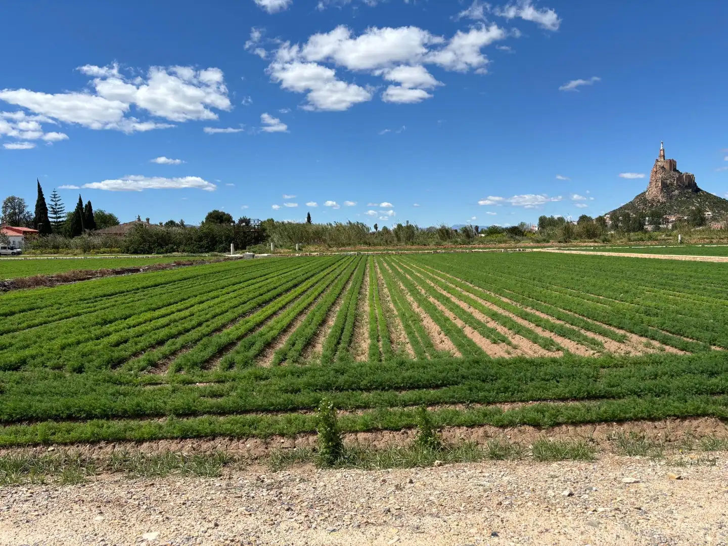 Garten von Residential zum Verkauf in  Murcia Capital