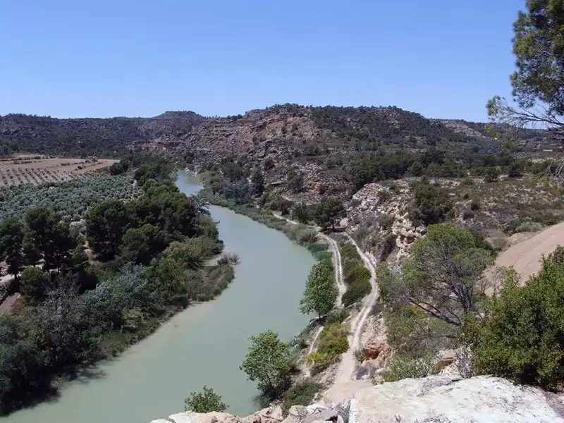 Vista exterior de Finca rústica en venta en Alcañiz