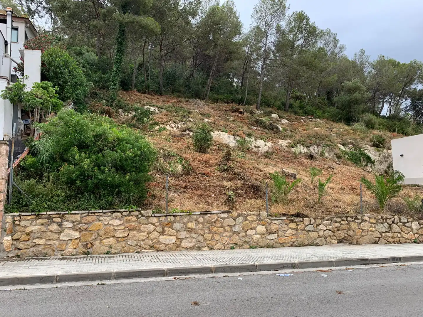 Terreno residencial en venta en Carrer Ripollès 15, imagen 5