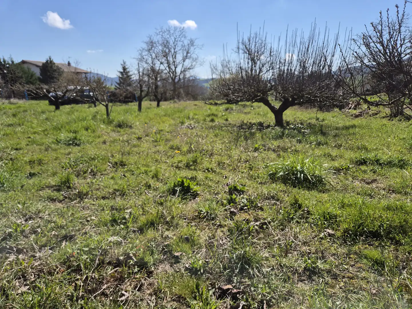 Residential land for sale in Calle San Juan 34, imagen 9