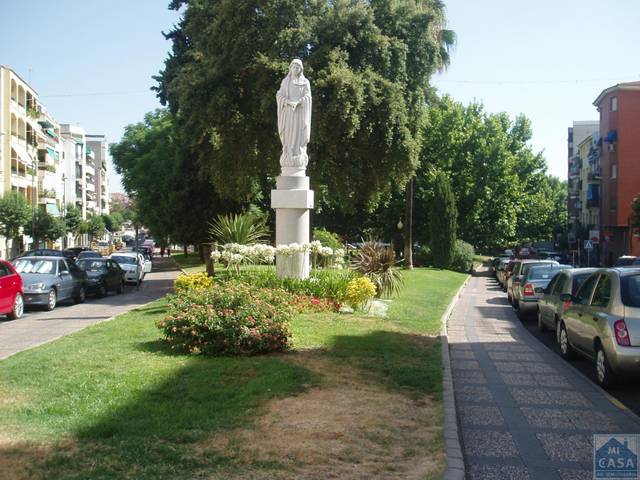 Local comercial en Alquiler en Centro