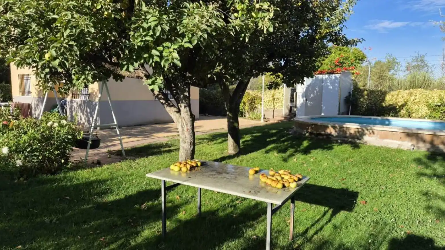 Jardín de Terreno en venta en Pelabravo