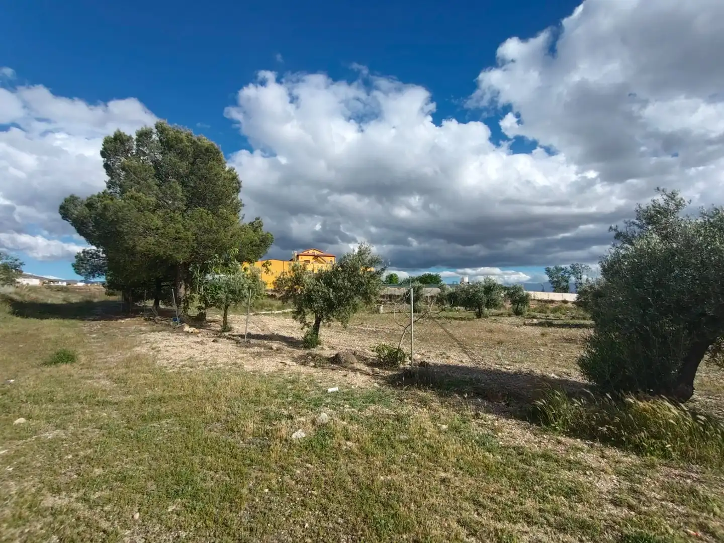 Rustikales Grundstück zum Verkauf in Carretera Murcia, imagen 9