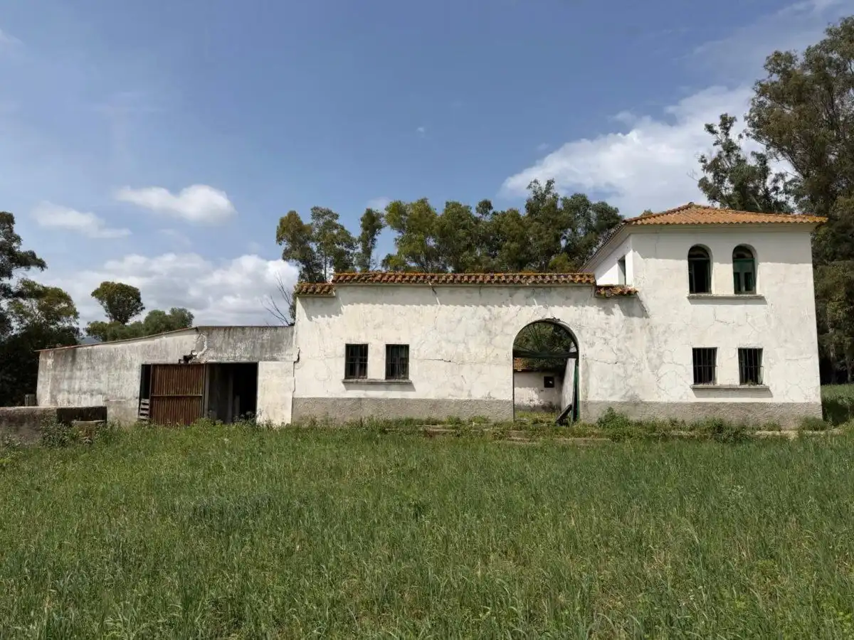 Vista exterior de Finca rústica en venta en Jimena de la Frontera con Terraza