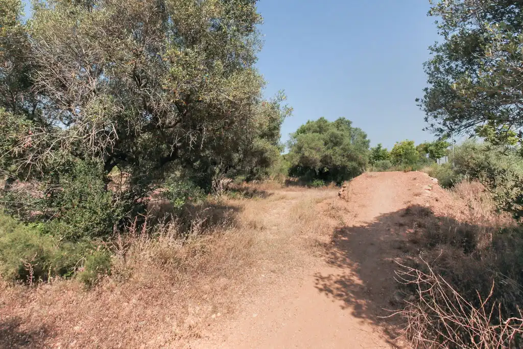 Rural land for sale in C/ Roquetes, imagen 13