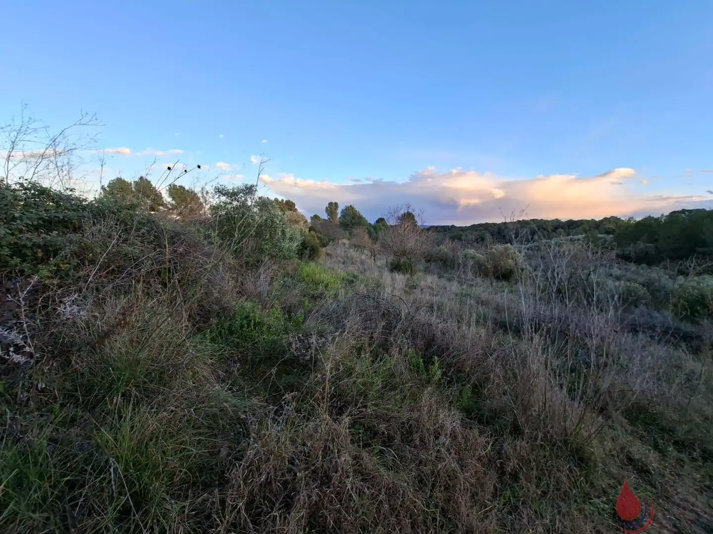 Terreni e lotti in vendita a Sant Quintí de Mediona