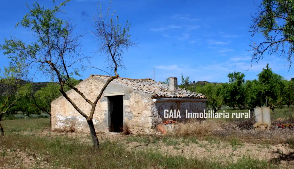 Country homes for sale in Fabara