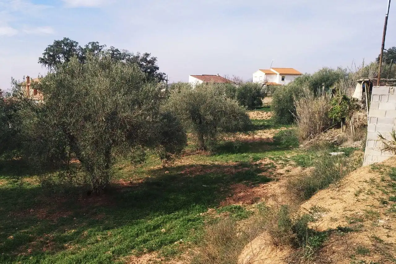 Terreny residencial en venda a Camino del Encinar