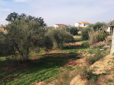 Terreno residenziale in vendita a Camino del Encinar