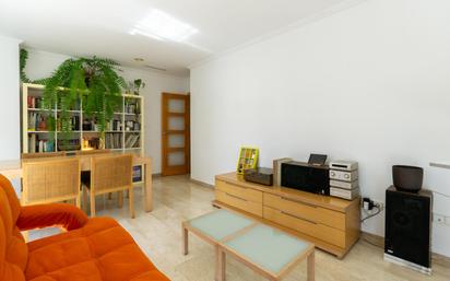 Living room of Flat for sale in Elche / Elx  with Terrace and Furnished