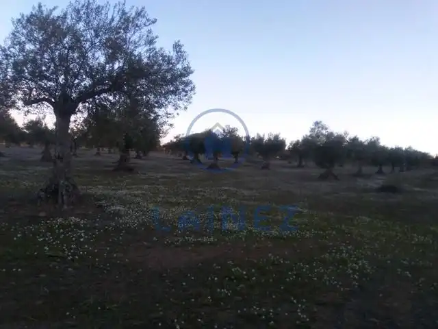 Terreni e lotti in vendita a Valsequillo, imagen 8