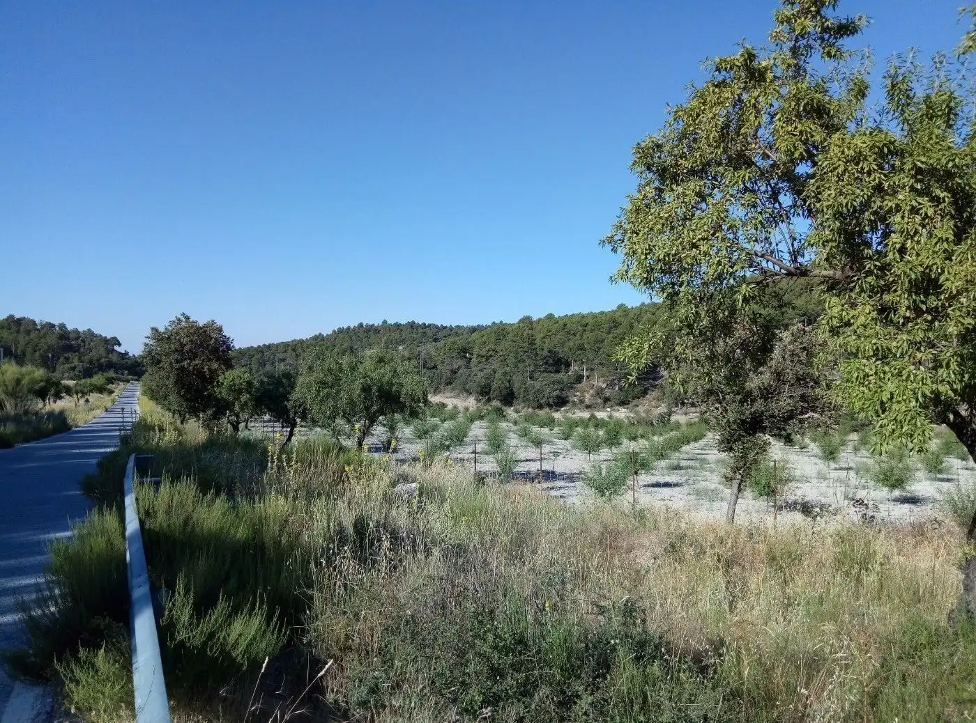 Terreni e lotti in vendita a Huéscar, imagen 67