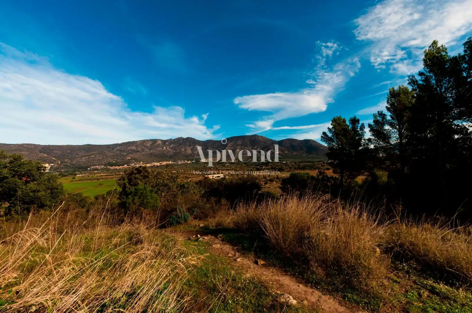 Rural land for sale in Molí de Vent, imagen 3